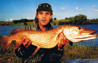 Mon plus gros brochet (16,5kg 1,33 m). Photo retouchée à partir d'un polaroïde de mauvaise qualité